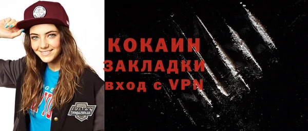 стаф Дмитровск
