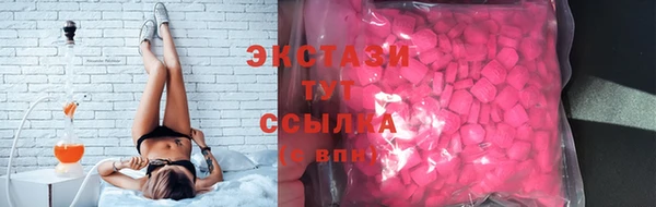 стаф Дмитровск
