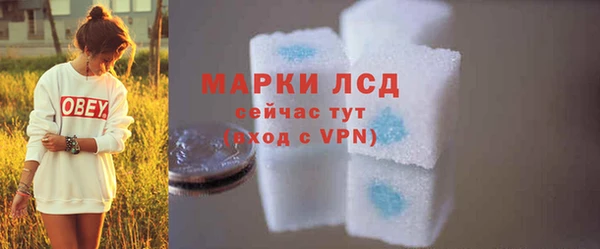 стаф Дмитровск