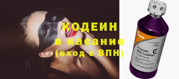 стаф Дмитровск