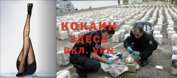 стаф Дмитровск