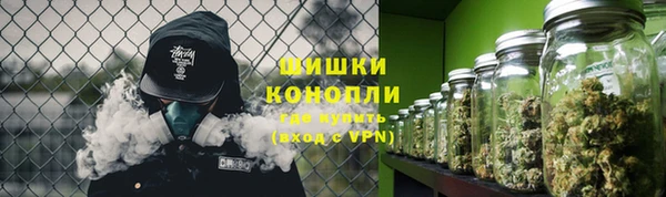 стаф Дмитровск